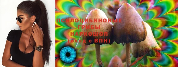 индика Инсар