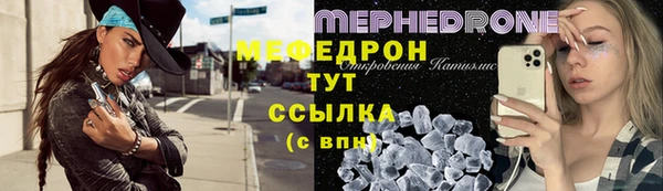 индика Инсар