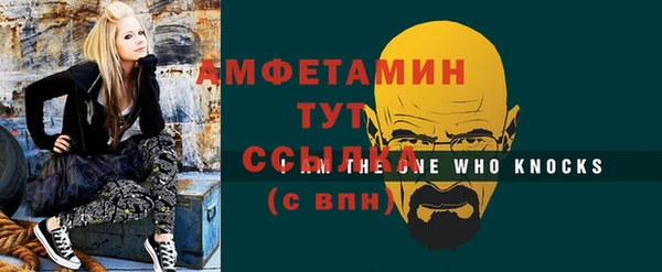индика Инсар