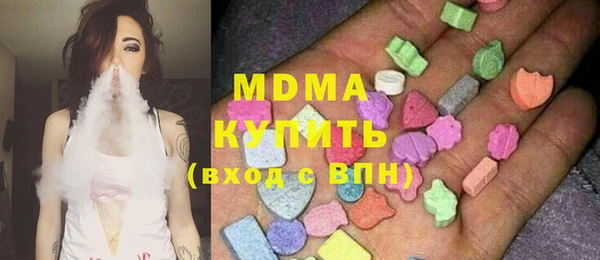 индика Инсар