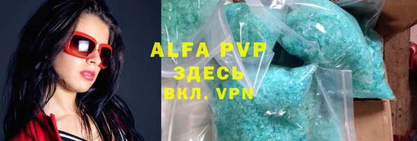индика Инсар