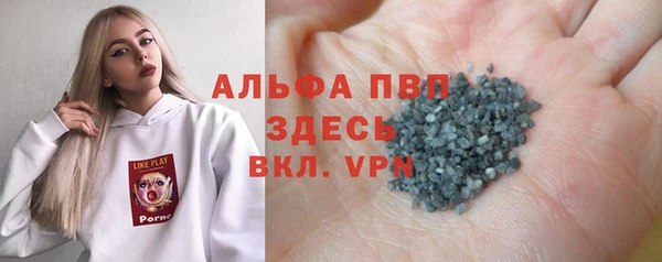 индика Инсар