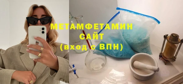 индика Инсар