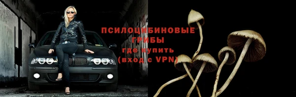 мдма Инта