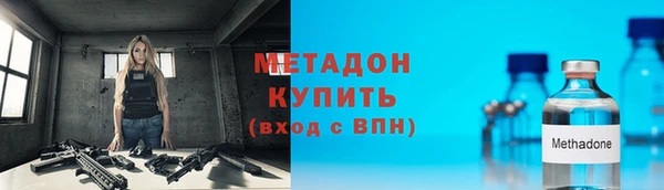индика Инсар