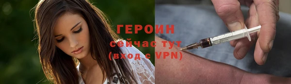 индика Инсар