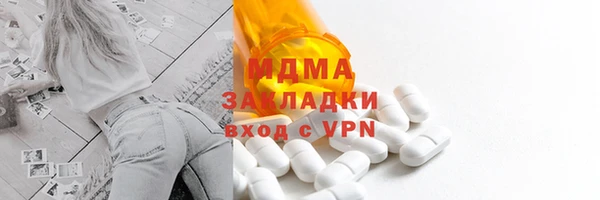 индика Инсар