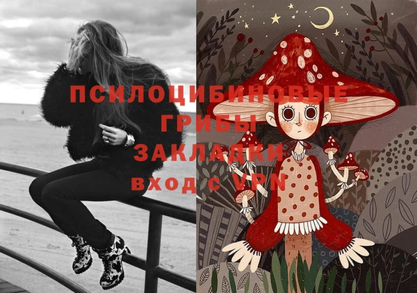 мдма Инта
