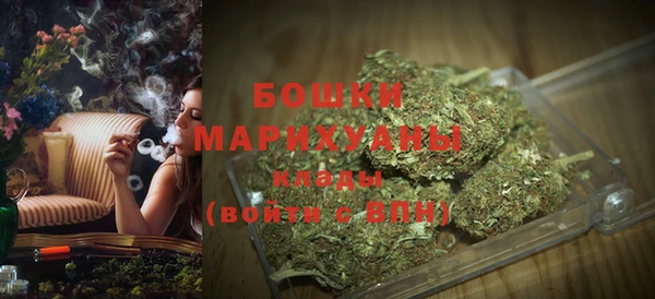 индика Инсар