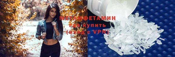 индика Инсар