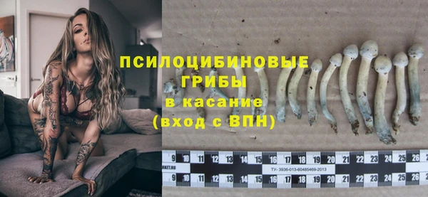 бошки Иннополис