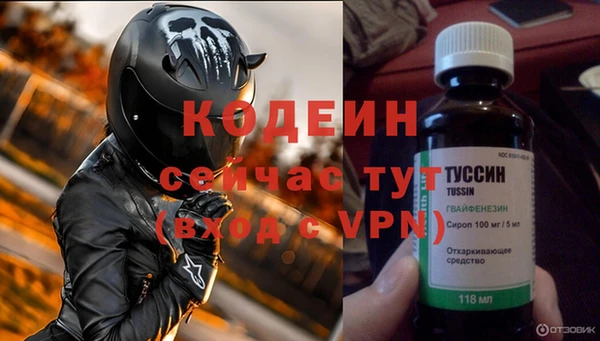 индика Инсар