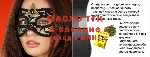 индика Инсар