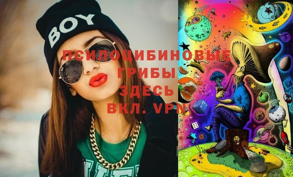бошки Иннополис