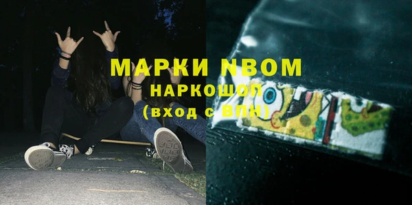 индика Инсар