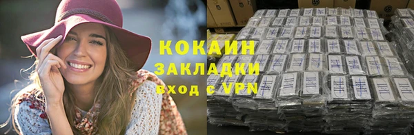 индика Инсар