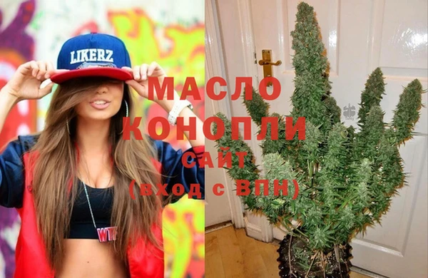 индика Инсар